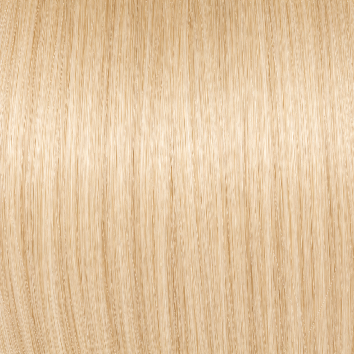 Champagne Blonde